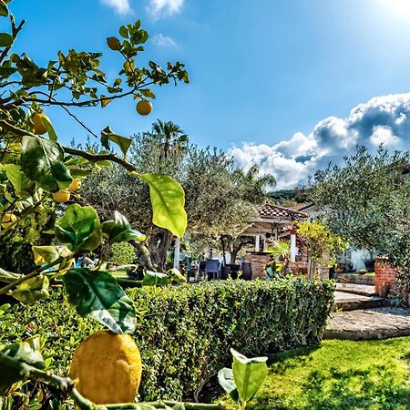 B&B Villa Bency Capo dʼOrlando Buitenkant foto